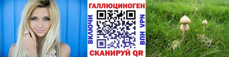 Псилоцибиновые грибы Psilocybe  Чапаевск 
