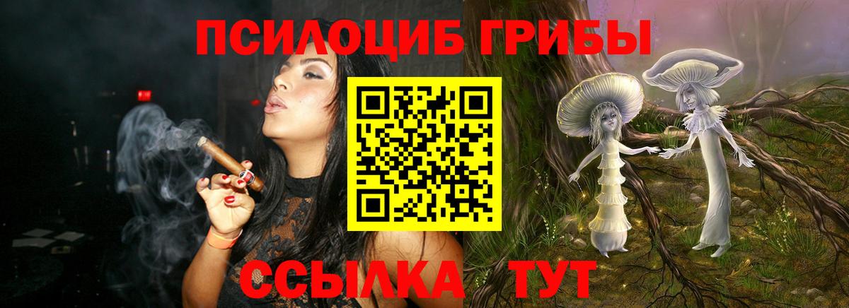 Галлюциногенные грибы Psilocybine cubensis Чапаевск