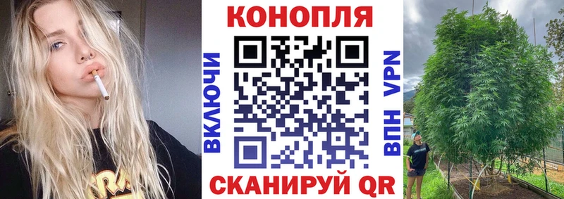 Конопля гибрид Чапаевск